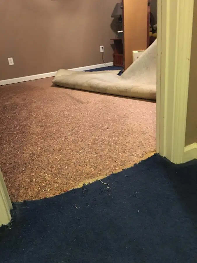 Carpet pad removal revealing water damage during Drying & Dehumidification in DeFuniak Springs