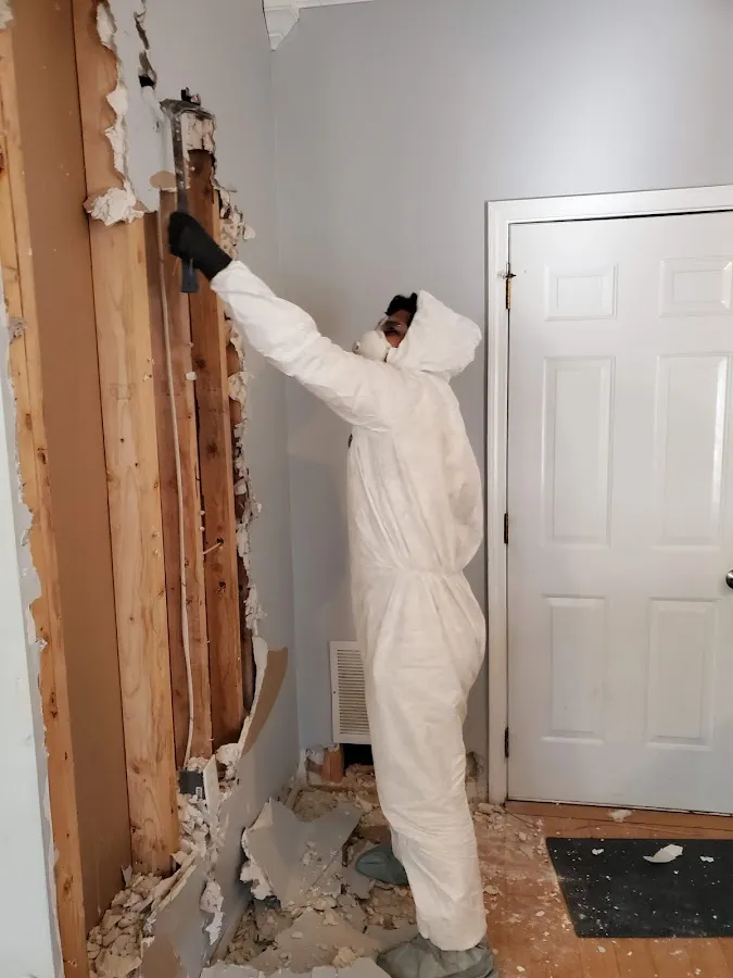 Mold Remediation & Removal in DeFuniak Springs, FL